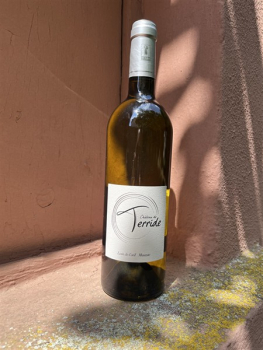 Château de Terride Blanc Sec