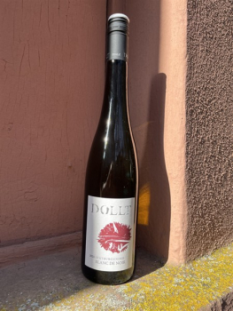 Dollt Spätburgunder Blanc de Noir trocken