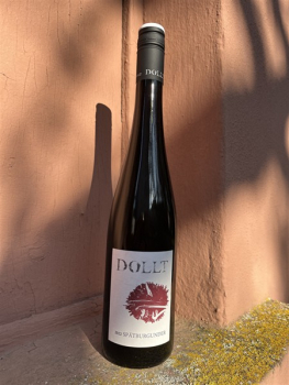 Dollt Spätburgunder Rotwein trocken