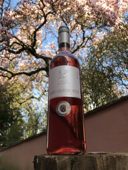 Forster Saint Laurent Rosé feinherb