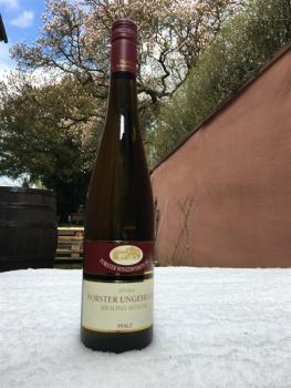Forster Riesling UNGEHEUER Auslese lieblich