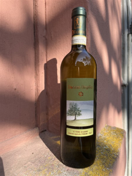 Fiorano Bianco DONNA ORGILLA Offida Pecorino DOCG