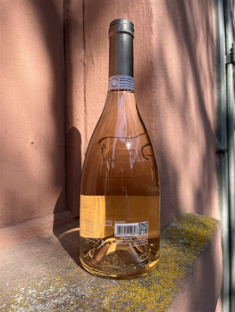 Preview: Asinara Rosé INDOLENTE