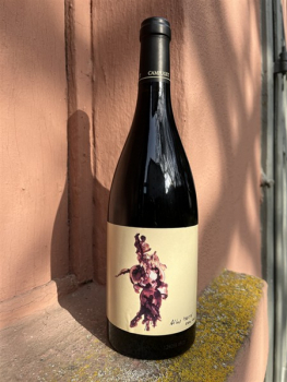 Preview: Château de Campuget Rouge LA SOMMELIÈRE Syrah