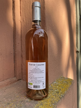 Preview: Château de Terride Rosé Braucol Gaillac AOC