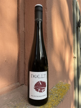 Preview: Dollt Spätburgunder Rotwein trocken