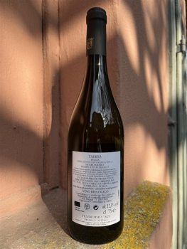 Preview: Duca CARLO GUARINI Bianco Negroamaro TAERSIA IGT Puglia