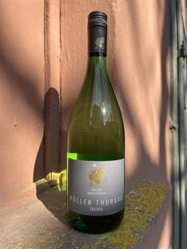 Preview: Forster Müller Thurgau trocken LITERFLASCHE