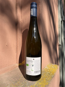 Preview: Hoflößnitz Souvignier Gris trocken