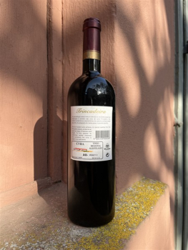 Preview: João Portugal Ramos Vila Santa Trincadeira tinto 1998