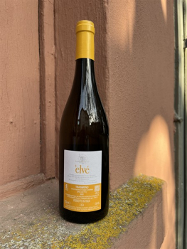 Preview: Madrevite Bianco ELVÉ Grechetto Trasimeno DOC