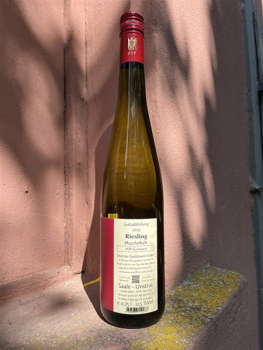 Preview: Pawis Riesling MUSCHELKALK VDP Gutswein trocken