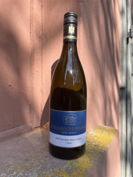 Preview: Schlumberger-Bernhart Sauvignon Blanc Gutswein fumé trocken