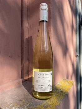 Preview: Schuster Bacchus CUVÉE N°11
