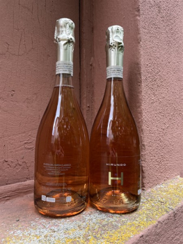 Preview: Selva Capuzza Rosé HIRUNDO Riviera del Garda Classico Brut