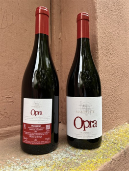 Madrevite Rosso OPRA Gamay del Trasimeno DOC