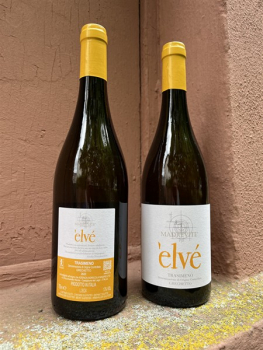Preview: Madrevite Bianco ELVÉ Grechetto Trasimeno DOC