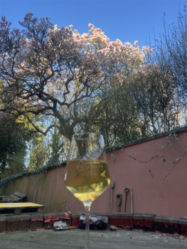 3er Weinprobe für 1 Person