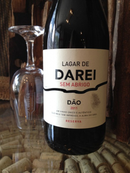 Lagar de Darei Tinto SEM ABRIGO