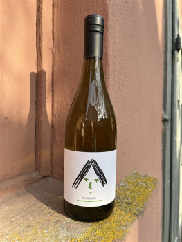 La Morella IL MONTE Cortese DOC