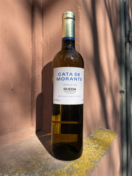 Los ALJIBES Blanco Verdejo CATA DE MORANTE