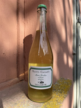 Vallarom Bianco Frizzante VADUM CAESARIS Vallagarina IGT