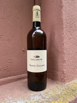 Vallarom Bianco VADUM CAESARIS Vigneti delle Dolomiti IGT