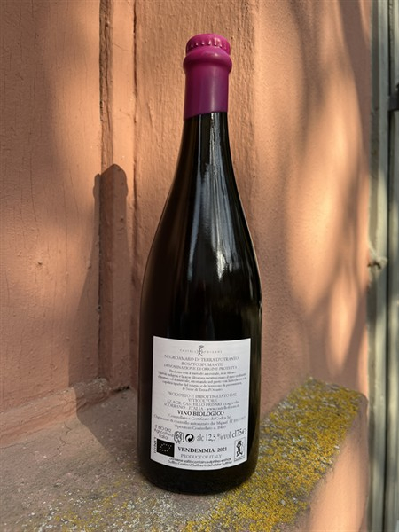 Castello Frisari Spumante Rosato Negroamaro Metodo Ancestral