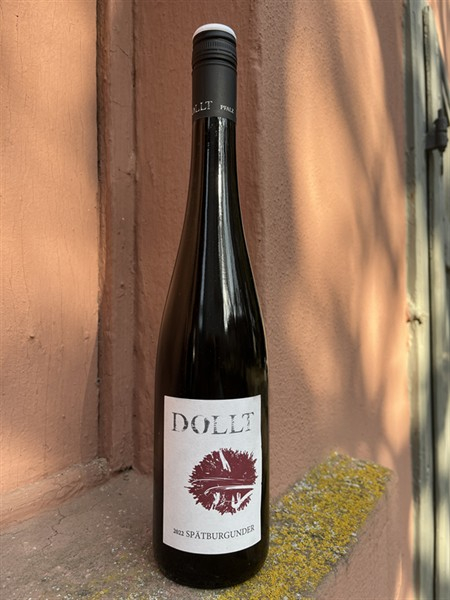 Dollt Spätburgunder Rotwein trocken