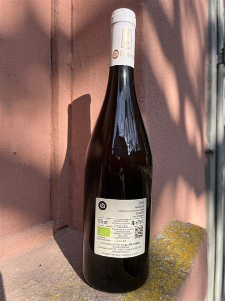 Fiorano Bianco GIULIA ERMINIA Marche IGT