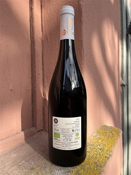 Fiorano Rosso SER BARLDUZIO Marche IGT