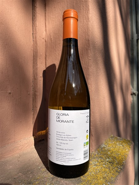 Los ALJIBES Blanco Godello GLORIA