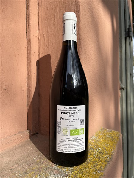 Vallarom Rosso Pinot Nero Vallagarina IGT