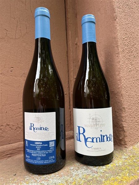 Madrevite Bianco IL REMINORE Umbria IGP
