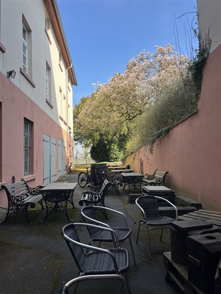 3er Weinprobe MAX 20 für 1 Person