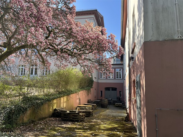 3er Weinprobe MAX 30 für 1 Person