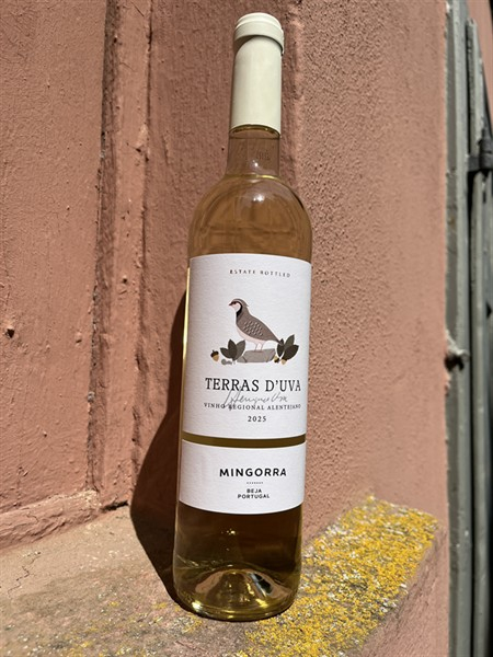 Mingorra Branco TERRAS dUVA